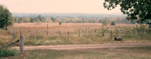 View East